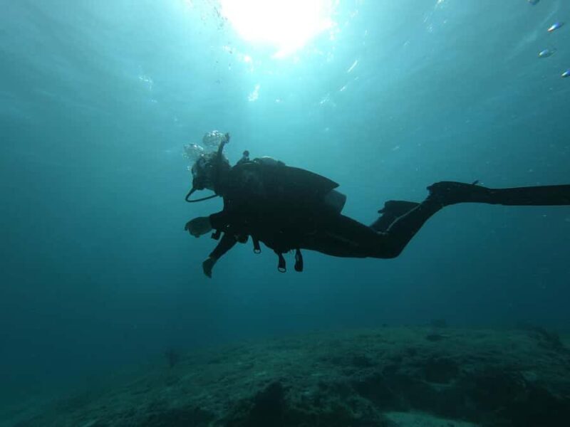 Puerto Morelos: 2-Tank Dive in a Protected Marine Park - In-Depth Breakdown of the Itinerary