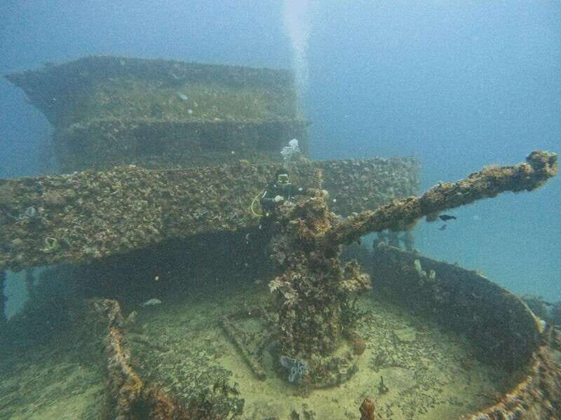 Puerto Morelos: C-56 Shipwreck & Reef for Certified Divers - Key Points