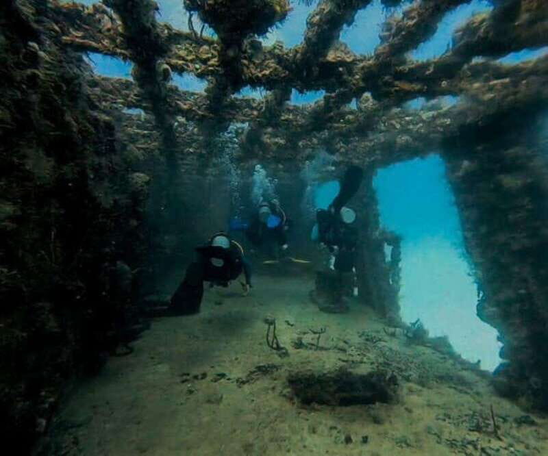 Puerto Morelos: C-56 Shipwreck & Reef for Certified Divers - The Experience in Detail