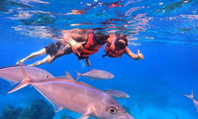 Puerto Morelos: Guided Snorkeling Tour with Gear & Fees - A Closer Look at the Puerto Morelos Snorkeling Experience
