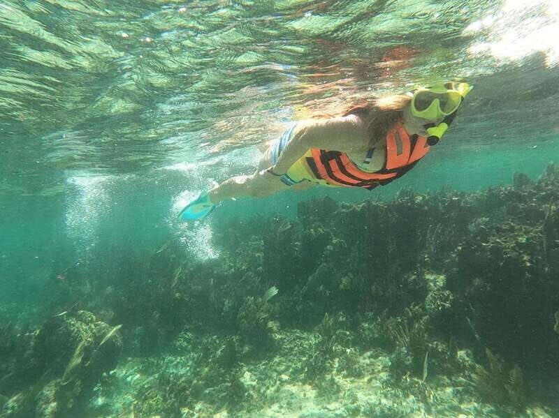 Puerto Morelos: Guided Snorkeling Tour with Gear & Fees - Considerations and Tips