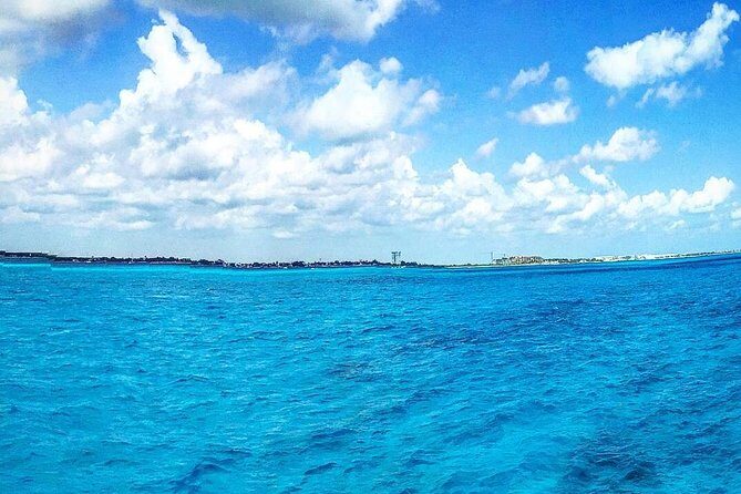 Puerto Morelos Reef Snorkel, 2 stops , local tacos, small groups! - An Honest Look at the Puerto Morelos Reef Snorkel Tour