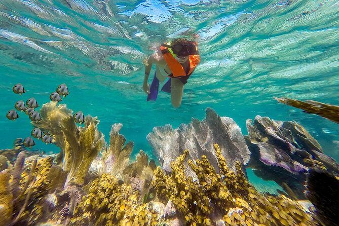 Puerto Morelos Reef Snorkeling Tour with Lunch & Hotel Pickup - Frequently Asked Questions