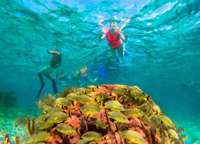Puerto Morelos: Reef Snorkeling Trip with Beachside Lunch - Final Thoughts: Who Benefits Most from This Tour?