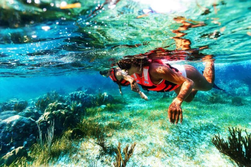 Puerto Morelos: Reef Snorkeling Trip with Beachside Lunch - FAQ: Your Practical Questions Answered