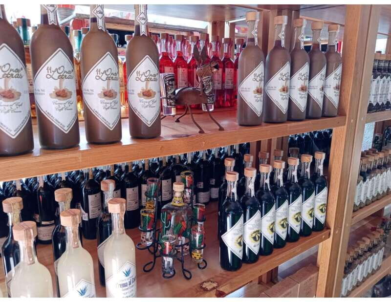 Puerto Morelos: Shopping Tour & Cenote Kin Ha - Exploring Puerto Morelos: Shopping & Cenote Adventure