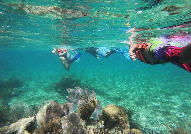 Puerto Morelos: Snorkel in Coral Reef with transportation - An In-Depth Look at the Puerto Morelos Snorkel Tour