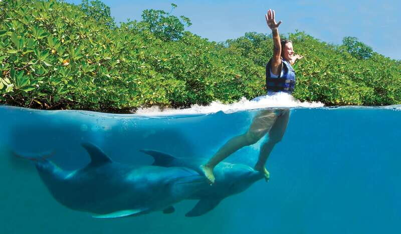 Puerto Morelos: Swim with dolphins Primax - An In-Depth Look at the Puerto Morelos Dolphin Experience