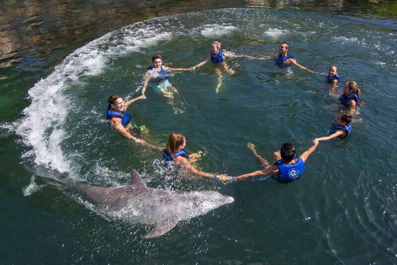 Puerto Morelos: Swim with Dolphins - FAQ