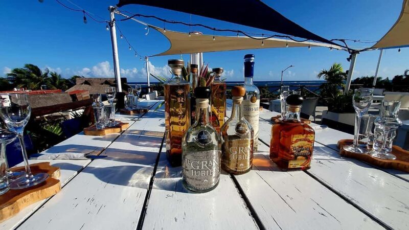 Puerto Morelos: Tequila University Gourmet Experience - An In-Depth Look at the Experience