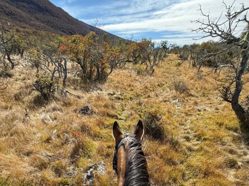 Puerto Natales: Full Day Horse Riding to the Mountains - Who Is This Tour Best For?