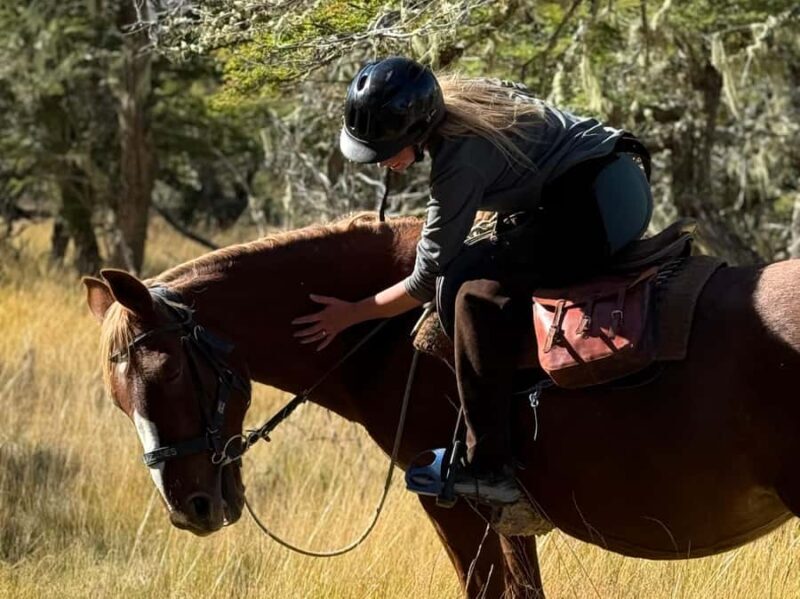 Puerto Natales: Full Day Horse Riding to the Mountains - FAQ