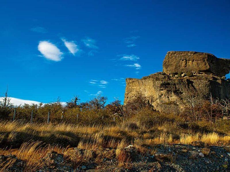 Puerto Natales: Full-Day Torres del Paine Tour - Key Points