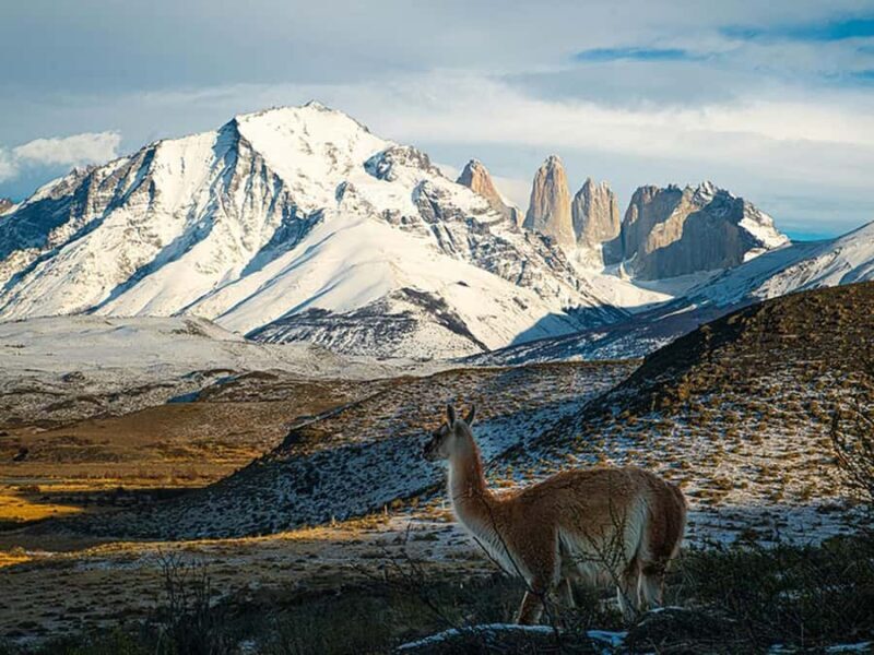 Puerto Natales: Full-Day Torres del Paine Tour - A Detailed Look at the Full-Day Torres del Paine Experience