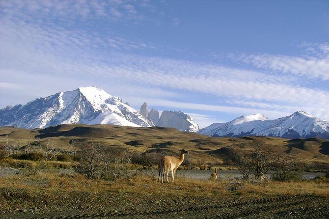 Puerto Natales: Full day tour Torres del Paine - An In-Depth Look at the Full-Day Tour