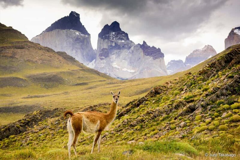 Puerto Natales: Full day tour Torres del Paine National Park - Possible Downsides