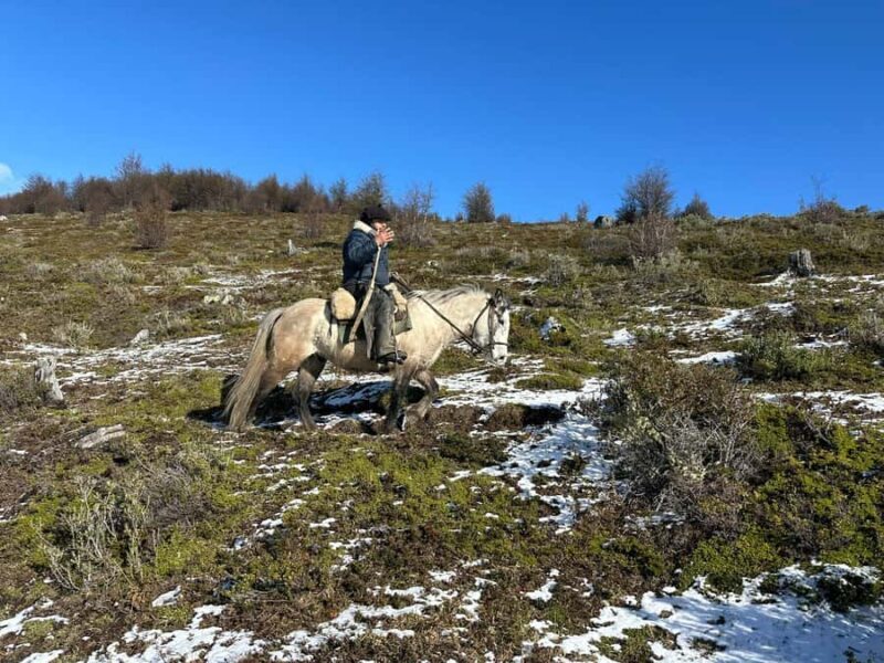 Puerto Natales: Horseback Riding to Dorotea Fjord Lookout - Key Points