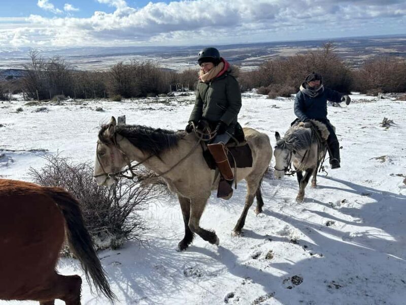 Puerto Natales: Horseback Riding to Dorotea Fjord Lookout - The Practical Details