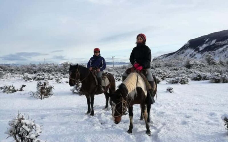 Puerto Natales: Horseback Riding to Dorotea Fjord Lookout - Who Is This Tour Best For?