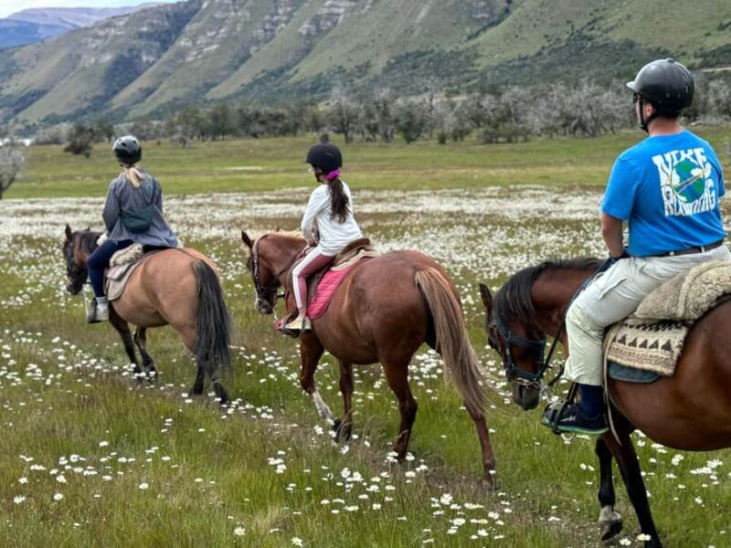 Puerto Natales: Horseback Riding with Horse Connection - Why We Love the Horse Connection Tour in Puerto Natales