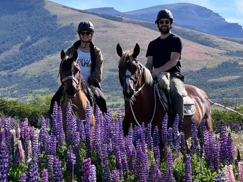 Puerto Natales: Horseback Riding with Horse Connection - Key Points