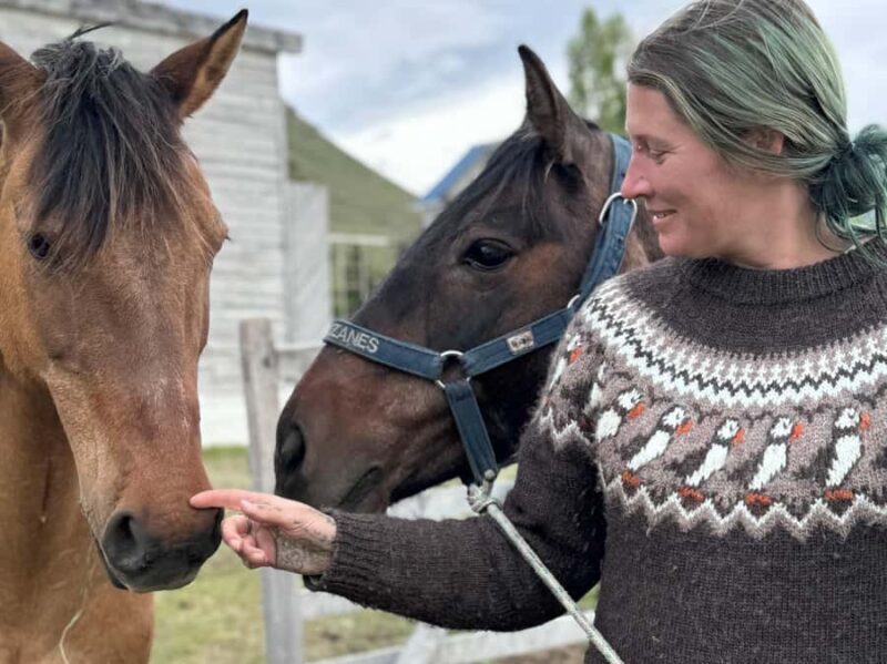 Puerto Natales: Horseback Riding with Horse Connection - Final Thoughts: Is It Worth It?