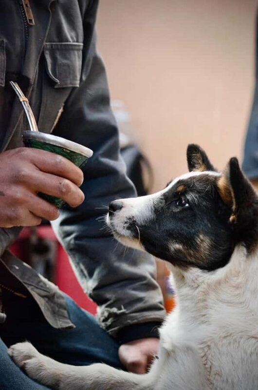 Puerto Natales: Traditional Horseback Riding Experience - Key Points