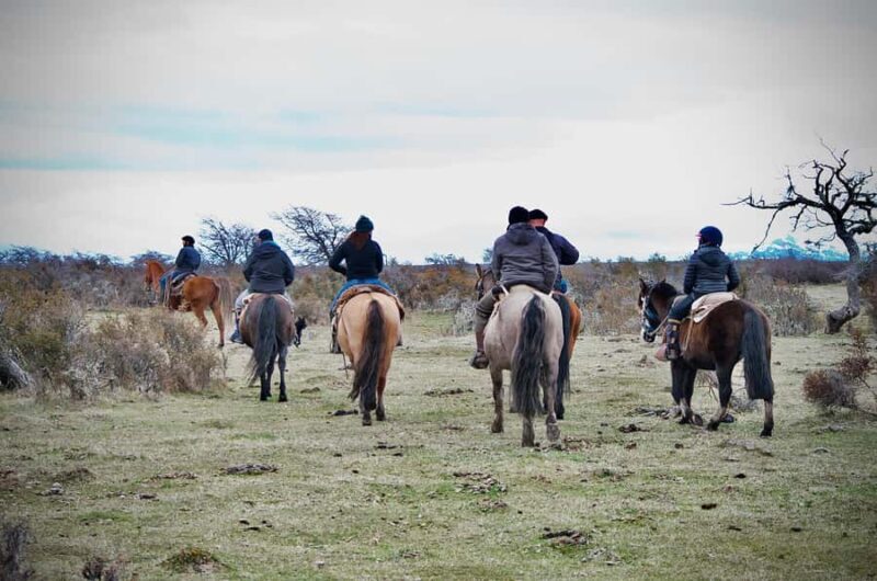 Puerto Natales: Traditional Horseback Riding Experience - Why It’s a Great Value