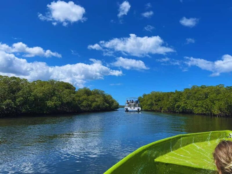 Puerto Plata: Amber cove and Taino Bay guided tour - Pricing and Value