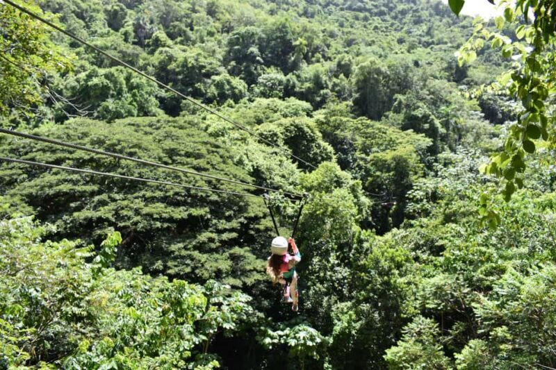 Puerto Plata/Amber Cove: Zipline and Waterfalls with Lunch - Puerto Plata/Amber Cove: Zipline and Waterfalls with Lunch — A Thrilling Day Out