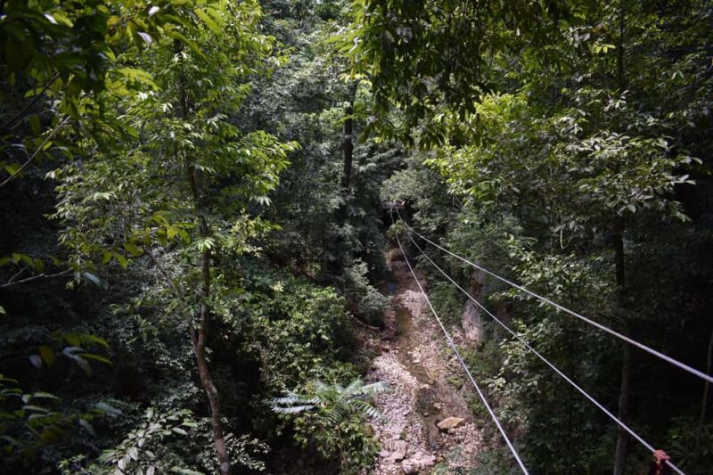 Puerto Plata/Amber Cove: Zipline and Waterfalls with Lunch - Final Thoughts on Value and Experience