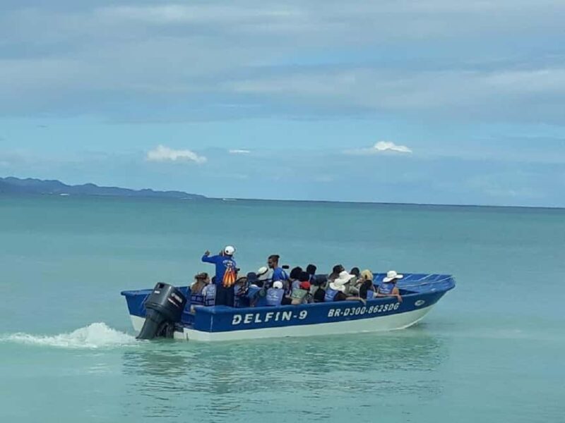 Puerto Plata: Cayo Arena Tour with Snorkeling and Mangroves - Key Points