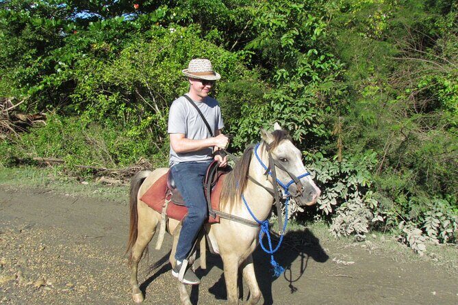 Puerto Plata City Horseback Riding Tour ,Rios,Beaches and Countryside - The Sum Up