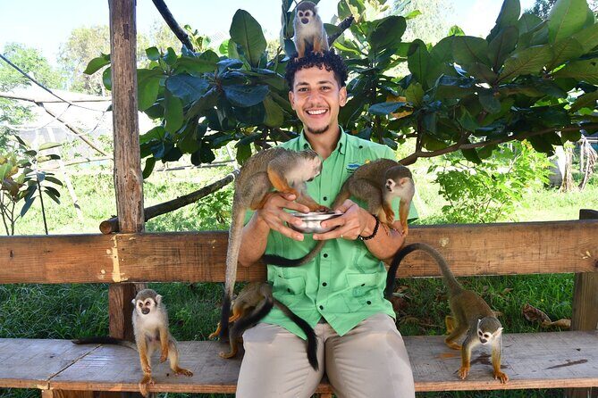 Puerto Plata City Tour - Puerto Plata City Tour: An Authentic Dive into Dominican Culture and History