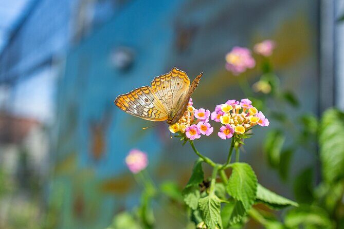 Puerto plata city tour and beach - Frequently Asked Questions