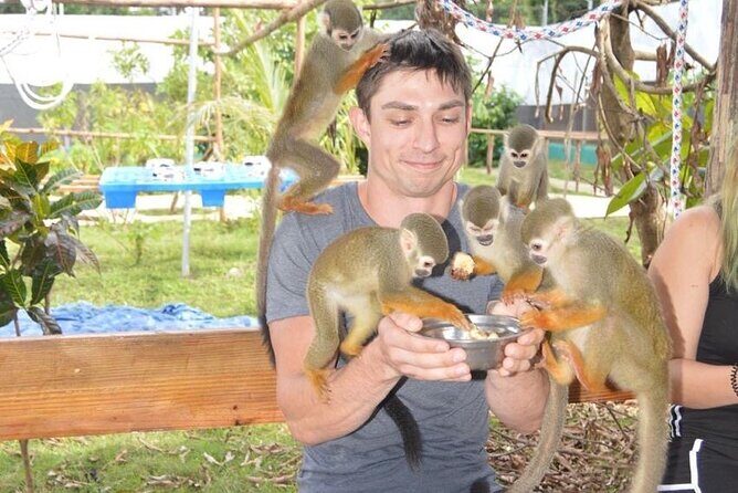 Puerto Plata City Tour with Monkeys - Discover Puerto Plata with the Monkeys: An Authentic Dominican Adventure