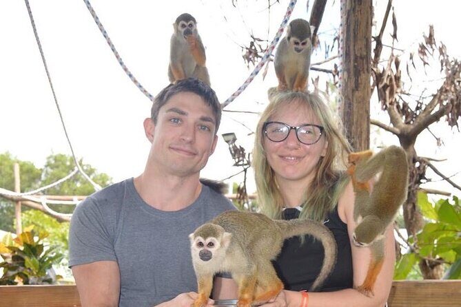 Puerto Plata City Tour with Monkeys - Key Points
