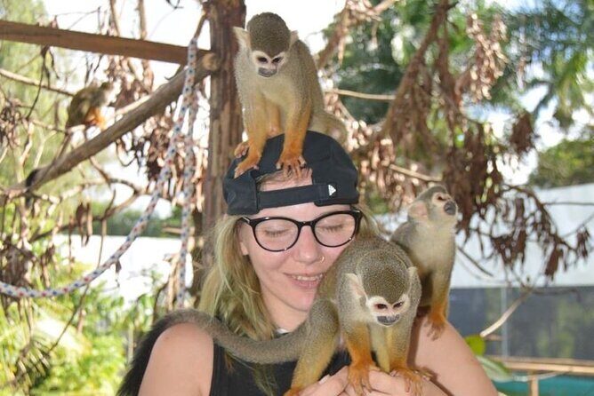 Puerto Plata City Tour with Monkeys - The Sum Up