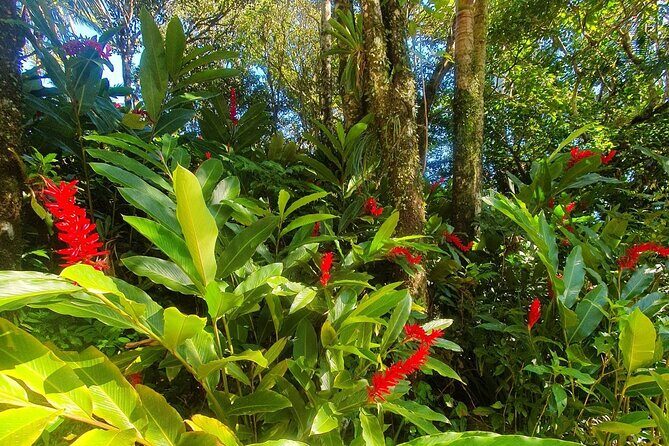 Puerto Plata City Tour with the Mount Isabel, Rum & Chocolate - Authentic Experiences and Local Flavor