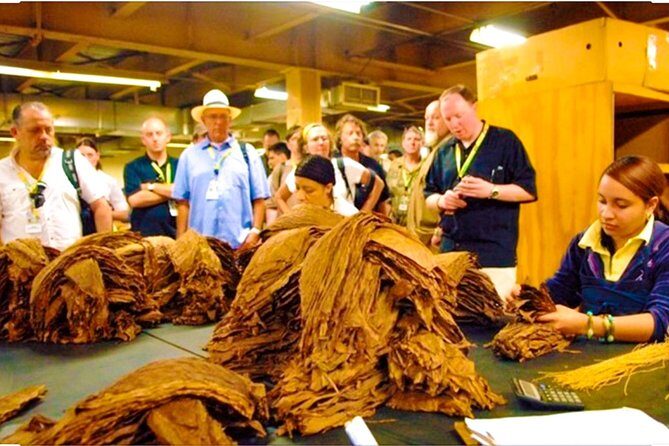 Puerto Plata City Tours - Authentic Perspectives from Travelers