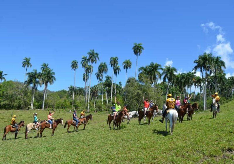 Puerto Plata Combo Experience: Zip-line + Horseback Riding - An Engaging Overview of the Puerto Plata Combo Experience