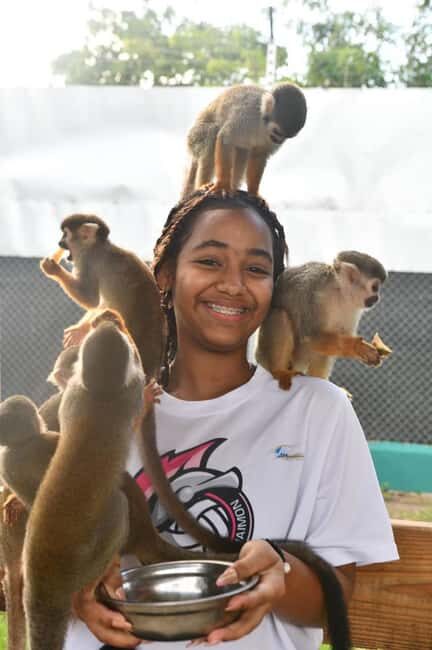 Puerto Plata: Cultural Tour & Ethical Monkey Observation - Key Points