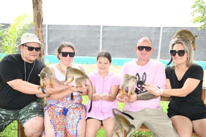 Puerto Plata: Damajagua Waterfalls & Monkeyland Tour - Final Thoughts