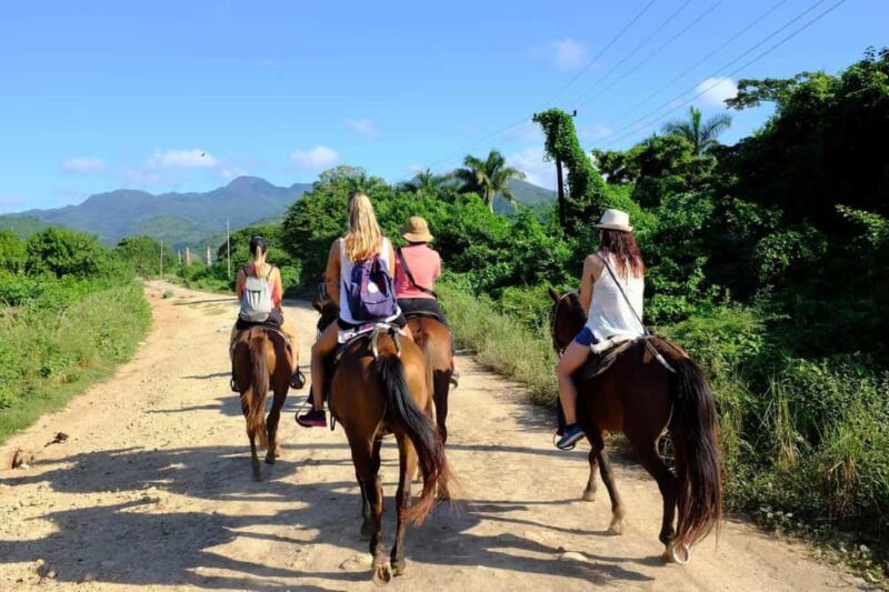 Puerto Plata: Damajagua Waterfalls, Zipline & Horse Ride - Who Will Appreciate This Tour?