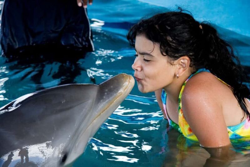 Puerto Plata: Dolphin Encounter at Ocean World - Key Points