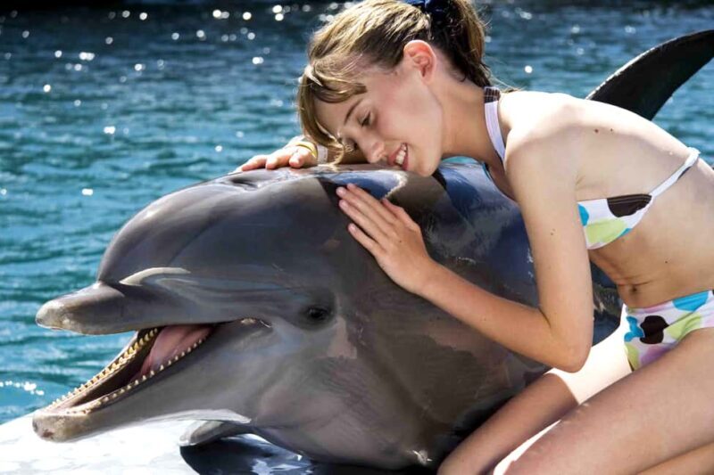 Puerto Plata: Dolphin Encounter at Ocean World - Practical Details and Logistics