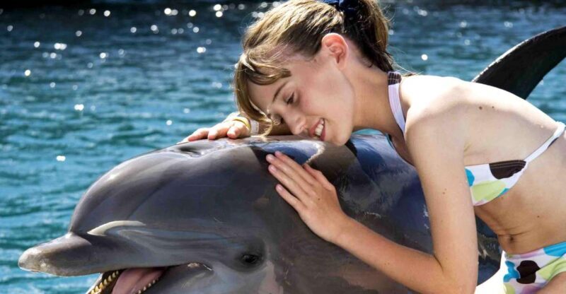 Puerto Plata: Dolphin Encounter at Ocean World - The Sum Up