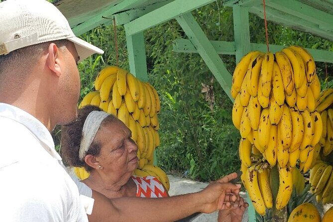 Puerto Plata Historic Town & Countryside - Amber Cove & Taino Bay - Final thoughts