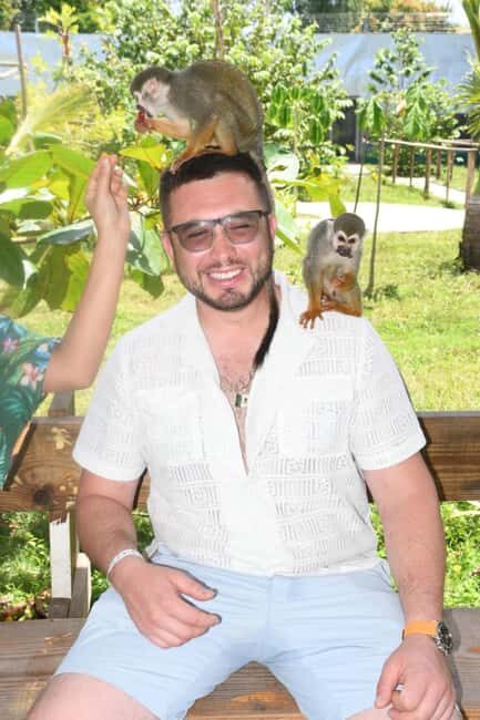 Puerto Plata: Monkey Tour and a Glimpse of Cows and Pigs - Final Thoughts