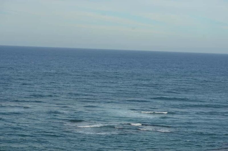 Puerto Plata: Monkey Tour and Dominican History and Culture City Tour - An In-Depth Look at the Puerto Plata Monkey Tour and City Experience